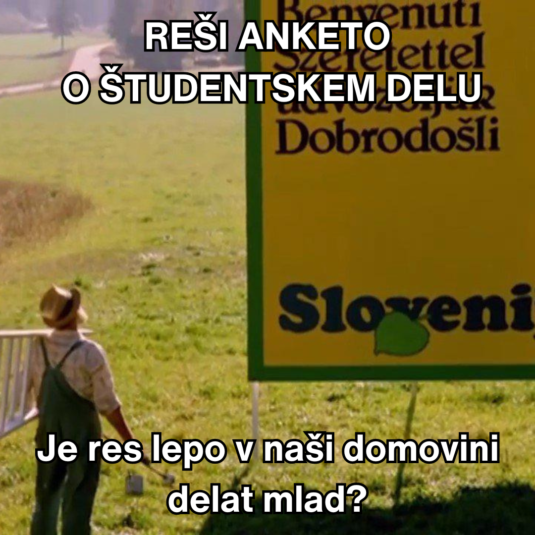 Anketa o študentskem delu: Je res lepo v naši domovini delat mlad?